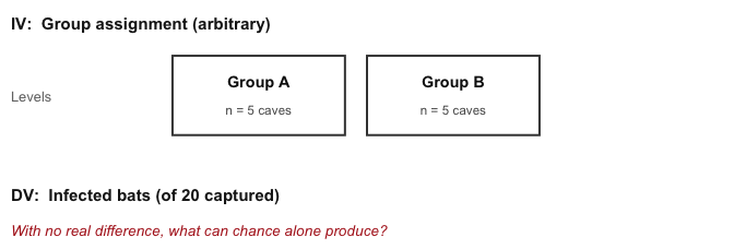 Study design schematic. IV: group assignment, arbitrary. Two boxes labelled Group A and Group B, each with n = 5 caves. DV: infected bats out of 20 captured.