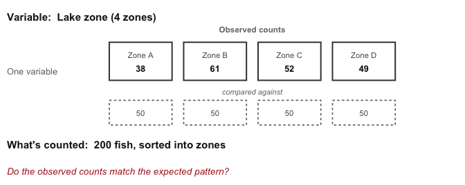 Study design schematic. Variable: lake zone, four zones. A row of observed counts, 38, 61, 52 and 49, compared against a dashed row of expected counts of 50 each. What is counted: 200 fish sorted into zones.