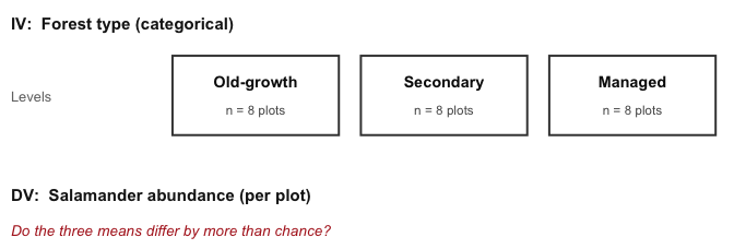 Study design schematic. IV: forest type, categorical. Three boxes labeled Old-growth, Secondary and Managed, each with n = 8 plots. DV: salamander abundance per plot.