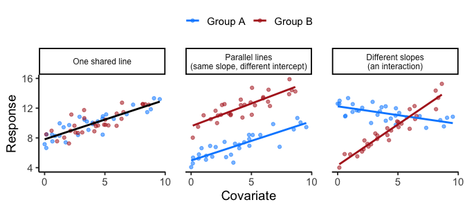Three scatter plots, each with two colored groups of points. In the first, a single black line runs through both groups. In the second, two parallel lines sit at different heights. In the third, two lines with visibly different slopes diverge from left to right.